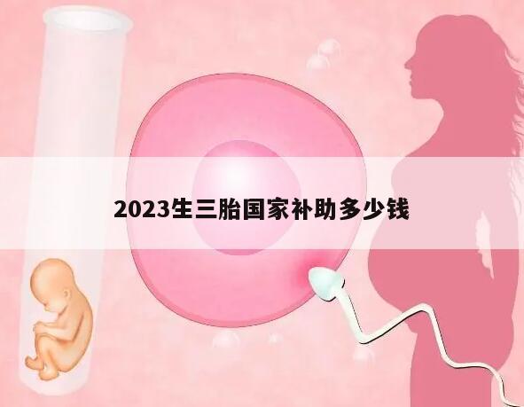 2023生三胎国家补助多少钱?