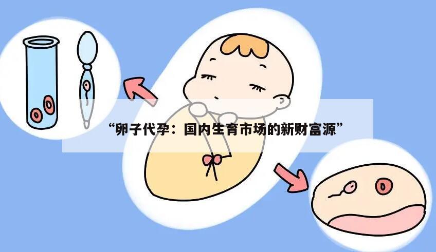卵子代孕：国内生育市场的新财富源