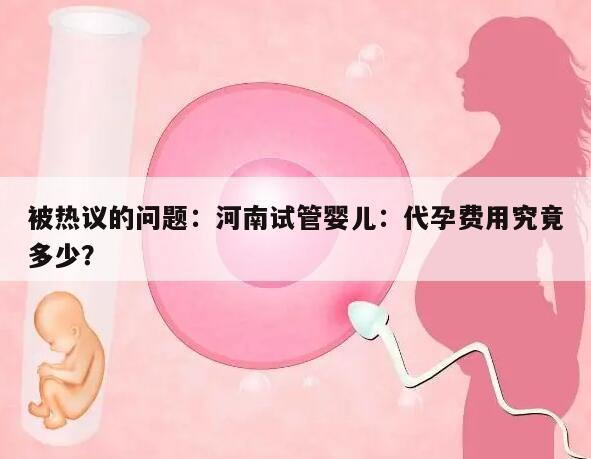河南试管婴儿:代孕费用究竟多少?