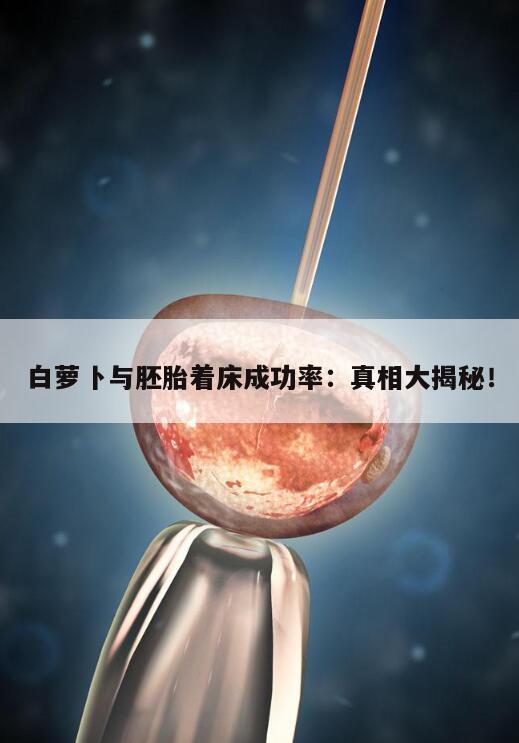 胚胎移植后吃白萝卜会影响着床成功率吗?