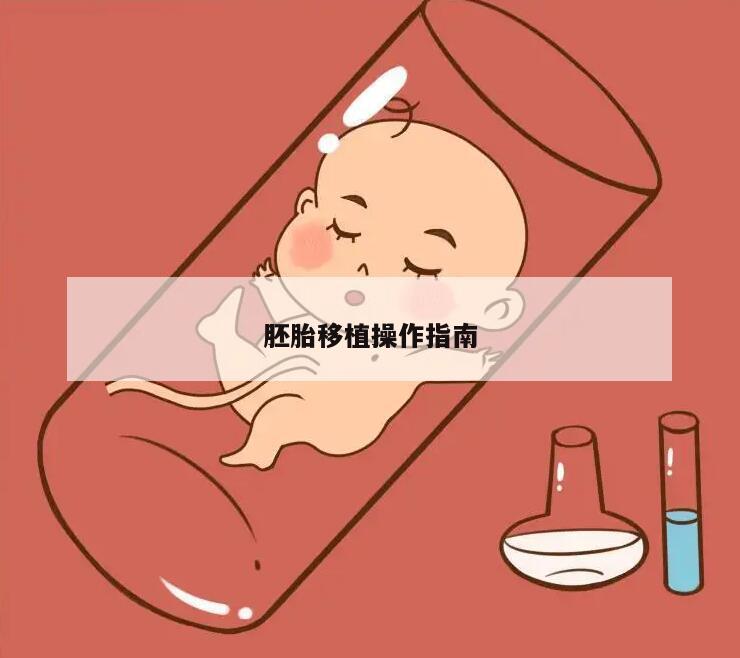 胚胎移植操作指南
