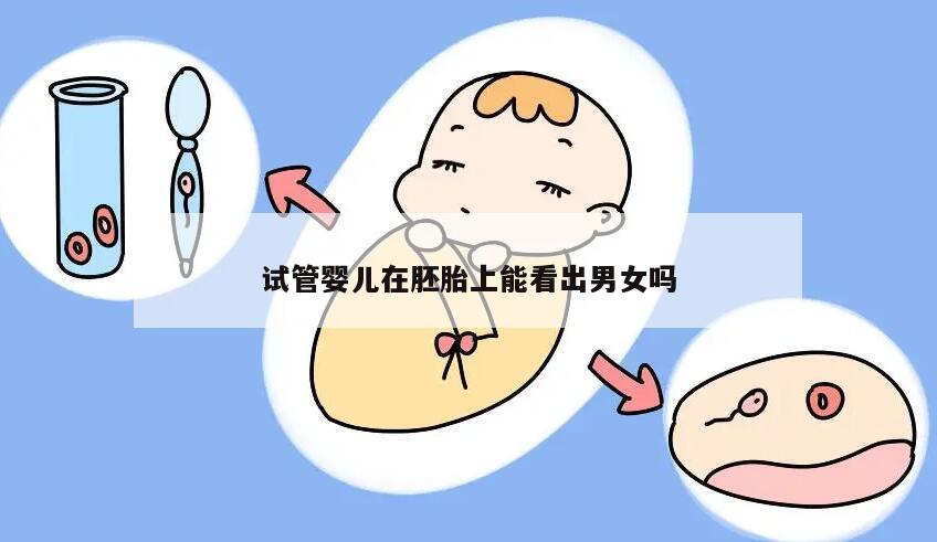 试管婴儿在胚胎上能看出男女吗