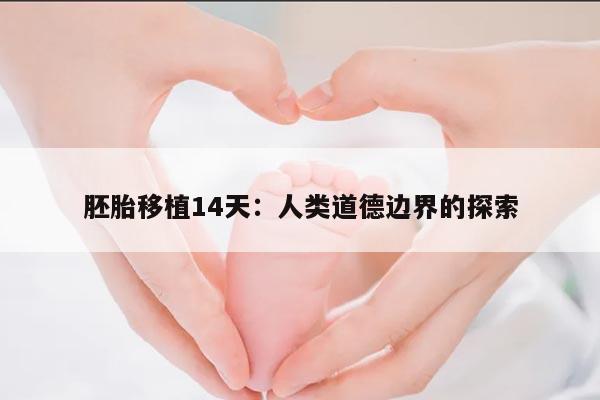 胚胎移植14天：人类道德边界的探索