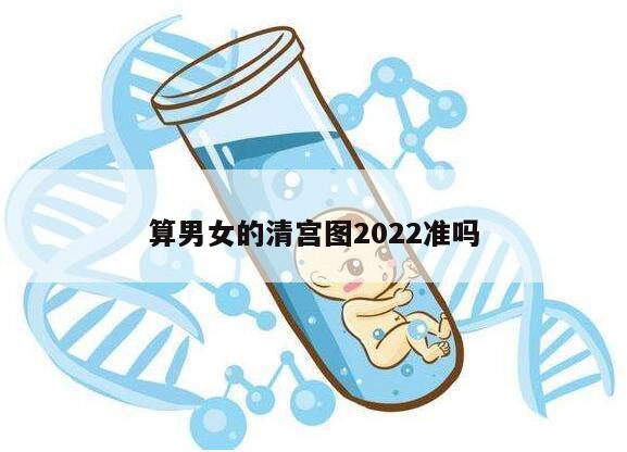 算男女的清宫图2022准吗