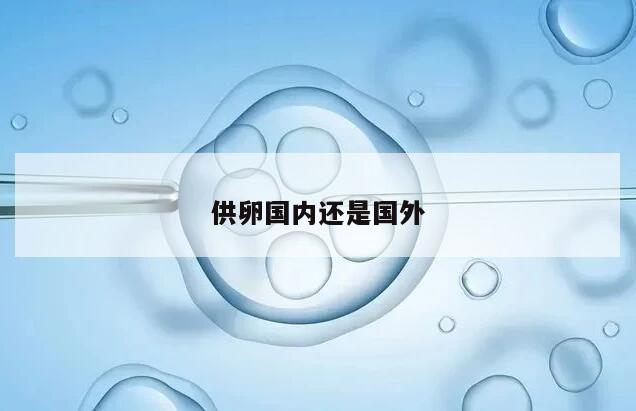 供卵国内还是国外