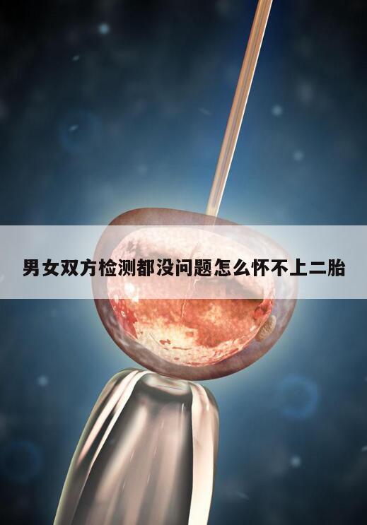 男女双方检测都没问题怎么怀不上二胎