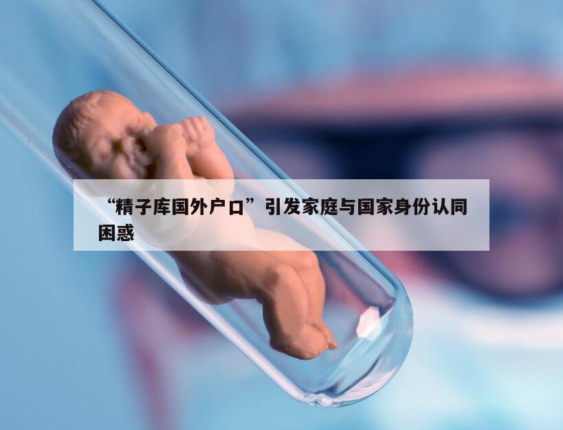 “精子库国外户口”引发家庭与国家身份认同困惑