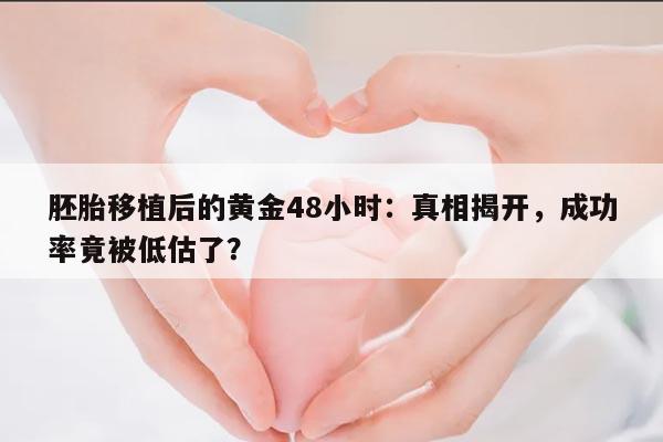 胚胎移植后的黄金48小时:真相揭开,成功率竟被低估了?