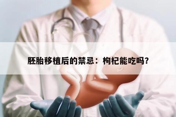 胚胎移植后的禁忌:枸杞能吃吗?