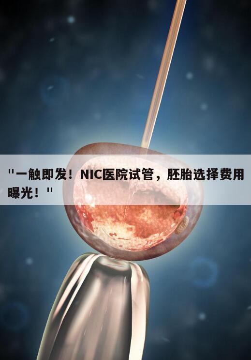 试管婴儿费用是如何计算的?