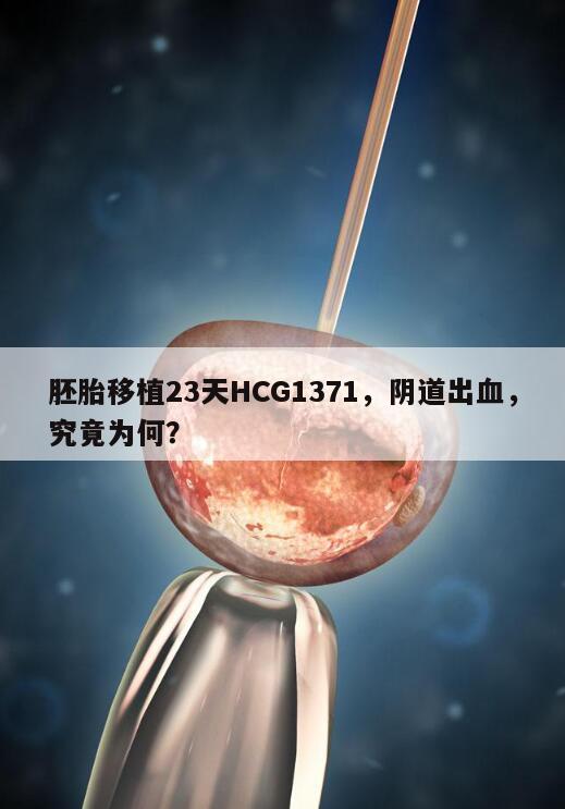 胚胎移植23天HCG1371的意义