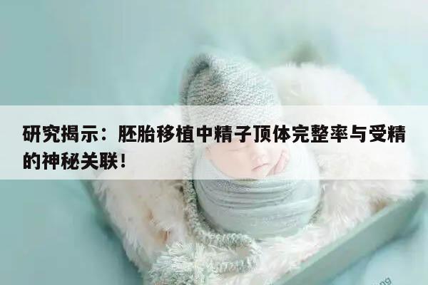 胚胎移植中精子顶体完整率与受精的关系