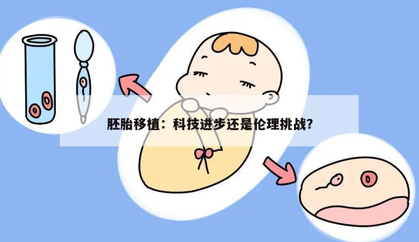 胚胎移植:科技进步还是伦理挑战?