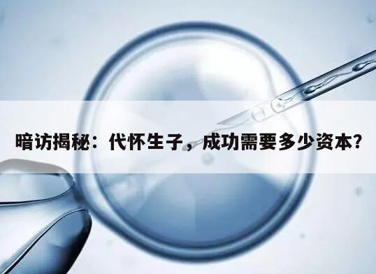 暗访揭秘：代怀生子，成功需要多少资本？