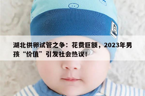 湖北供卵试管之争:花费巨额,2023年男孩“价值”引发社会热议!