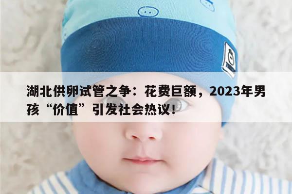 湖北供卵试管之争：花费巨额，2023年男孩“价值”引发社会热议！