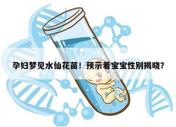 孕妇梦见水仙花苗！预示着宝宝性别揭晓？