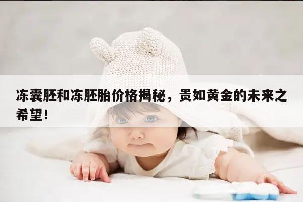 冻囊胚和冻胚胎价格揭秘,贵如黄金的未来之希望!