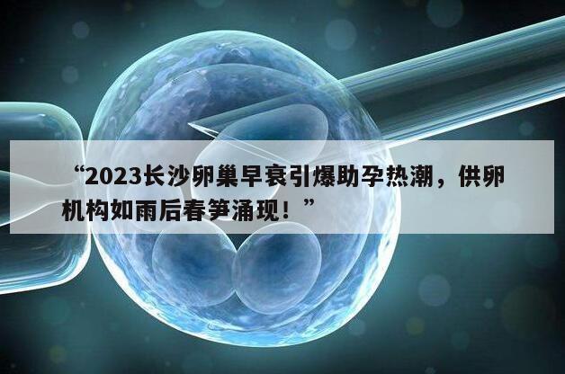 “2023长沙卵巢早衰引爆助孕热潮，供卵机构如雨后春笋涌现！”