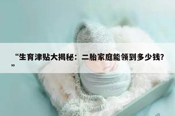 “生育津贴大揭秘:二胎家庭能领到多少钱?”