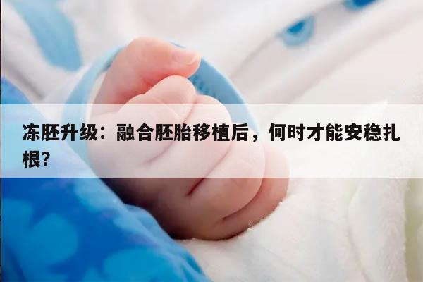 冻胚升级:融合胚胎移植后,何时才能安稳扎根?