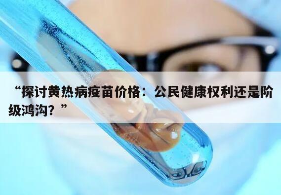 “探讨黄热病疫苗价格：公民健康权利还是阶级鸿沟？”