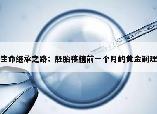 生命继承之路:胚胎移植前一个月的黄金调理