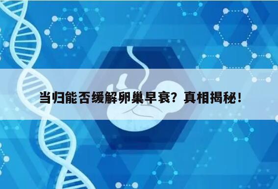 当归能否缓解卵巢早衰？真相揭秘！