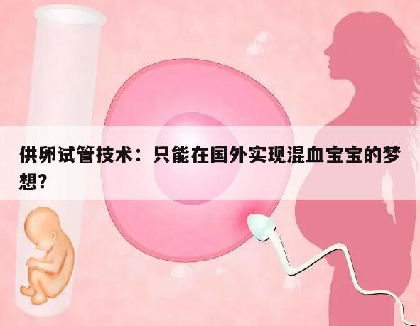 供卵试管技术:只能在国外实现混血宝宝的梦想?