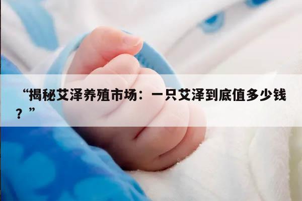 “揭秘艾泽养殖市场：一只艾泽到底值多少钱？”