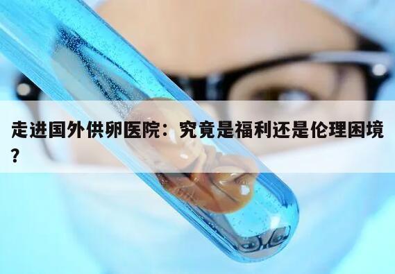 走进国外供卵医院:究竟是福利还是伦理困境?