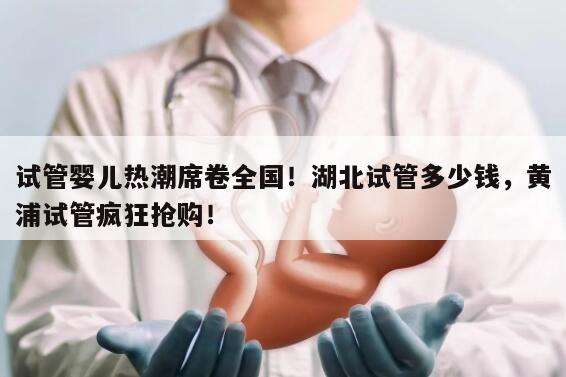 湖北试管婴儿费用对比:从湖北到黄浦试管婴儿费用详解