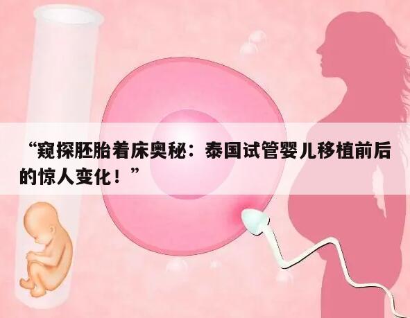 “窥探胚胎着床奥秘:泰国试管婴儿移植前后的惊人变化!”