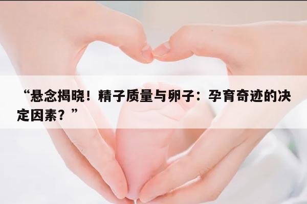 “悬念揭晓！精子质量与卵子：孕育奇迹的决定因素？”