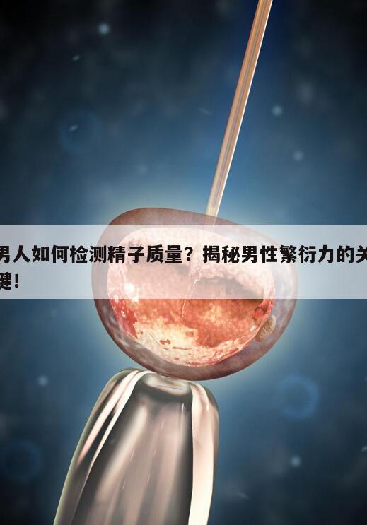 男人如何检测精子质量?揭秘男性繁衍力的关键!