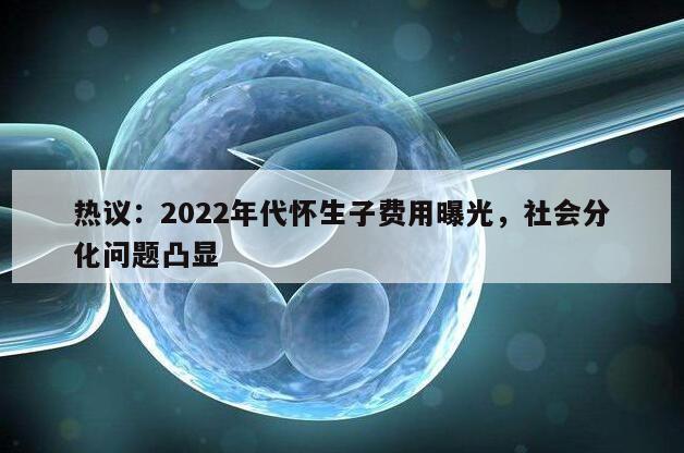 热议：2022年代怀生子费用曝光，社会分化问题凸显