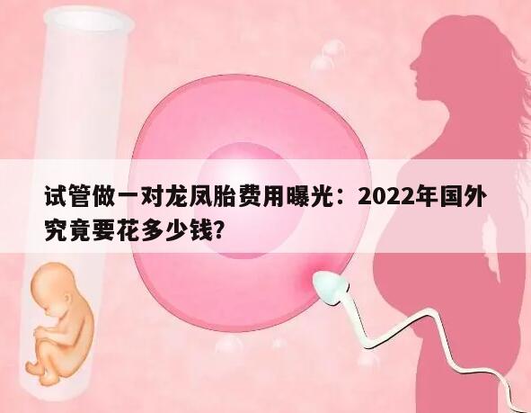 试管做一对龙凤胎费用曝光:2022年国外究竟要花多少钱?