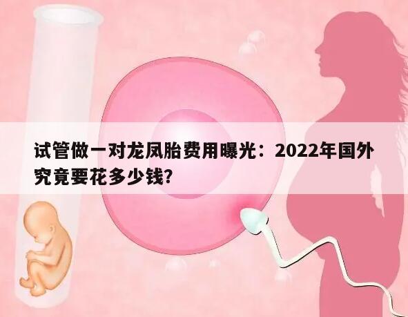 试管做一对龙凤胎费用曝光：2022年国外究竟要花多少钱？