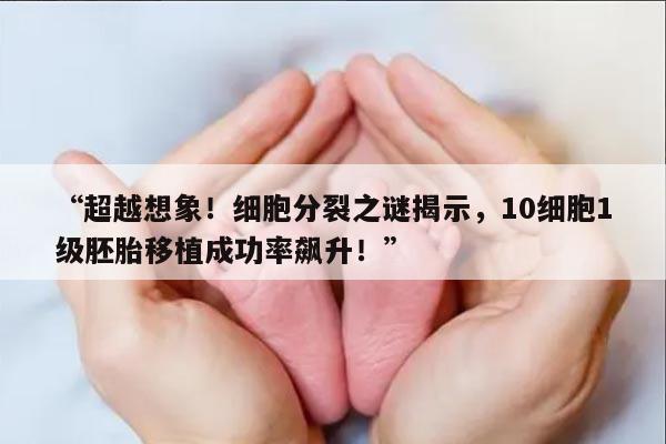 超越想象!细胞分裂之谜揭示,10细胞1级胚胎移植成功率飙升!