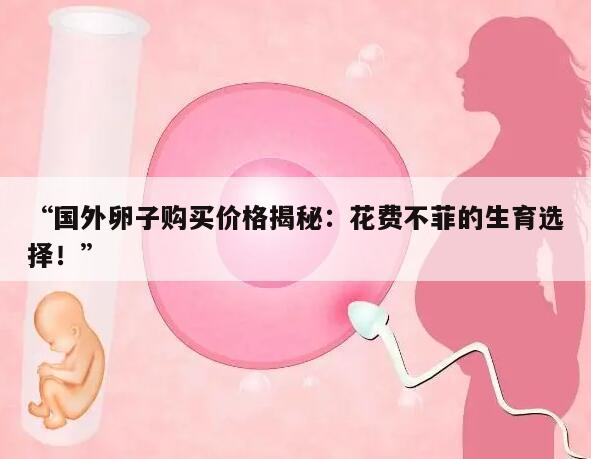“国外卵子购买价格揭秘:花费不菲的生育选择!”
