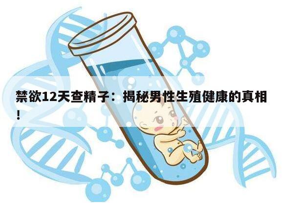 禁欲12天查精子：揭秘男性生殖健康的真相！