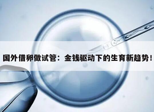 国外借卵做试管:金钱驱动下的生育新趋势!