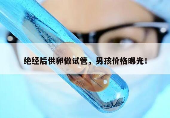 绝经后供卵做试管,男孩价格曝光!