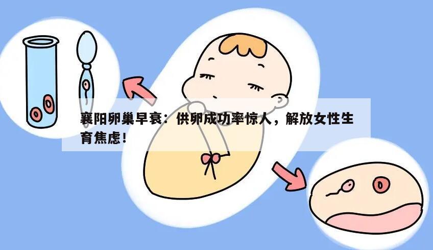 襄阳卵巢早衰:供卵成功率惊人,解放女性生育焦虑!