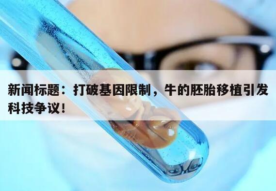 新闻标题：打破基因限制，牛的胚胎移植引发科技争议！