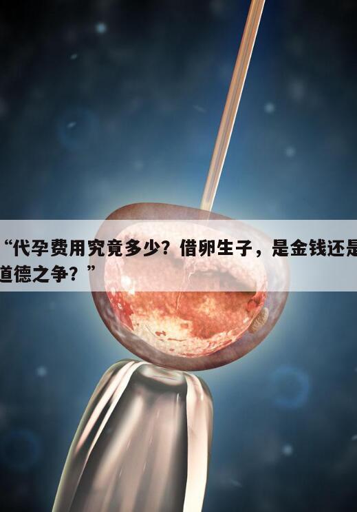 “代孕费用究竟多少?借卵生子,是金钱还是道德之争?”