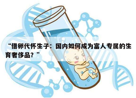 “借卵代怀生子:国内如何成为富人专属的生育奢侈品?”