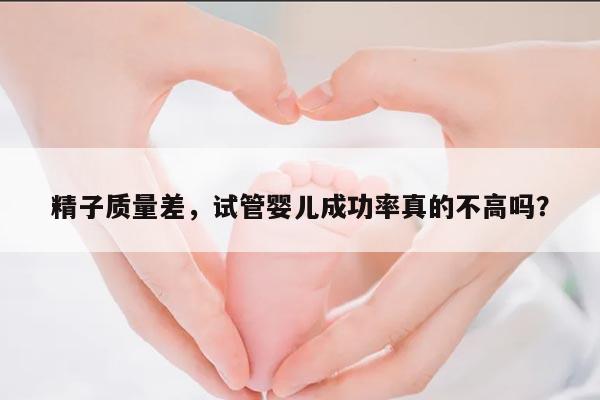 精子质量差,试管婴儿成功率真的不高吗?