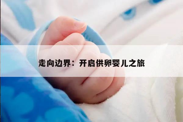 走向边界:开启供卵婴儿之旅
