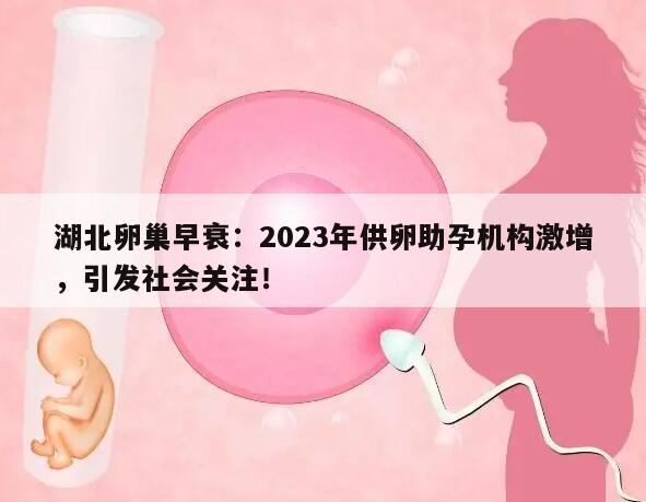 湖北卵巢早衰:2023年供卵助孕机构激增,引发社会关注!